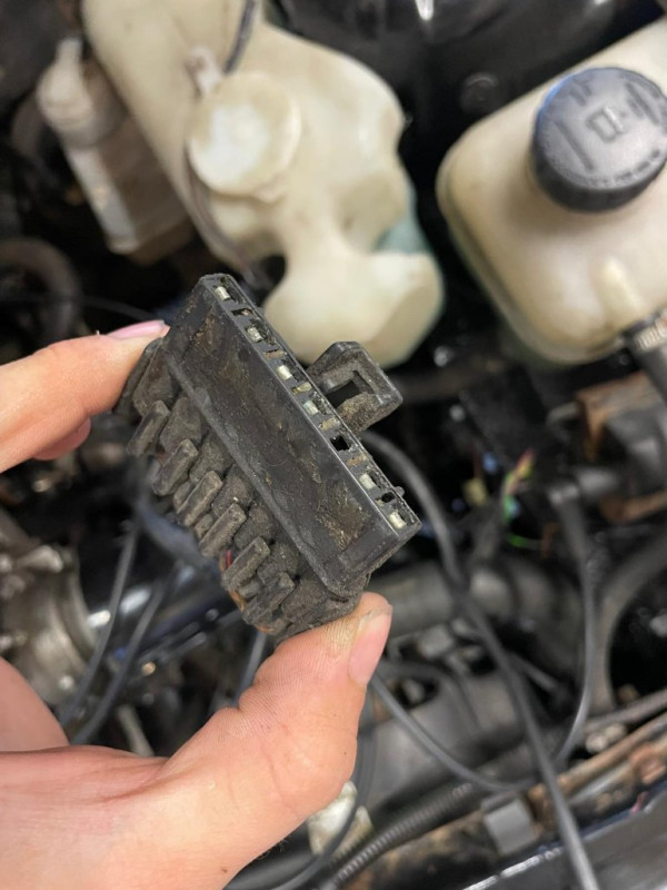 Stecker2.jpg
