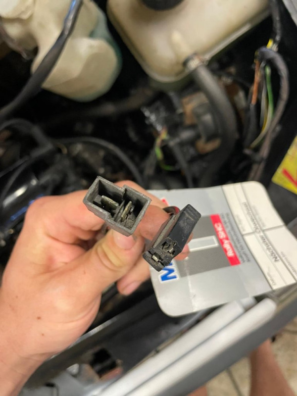Stecker3.jpg