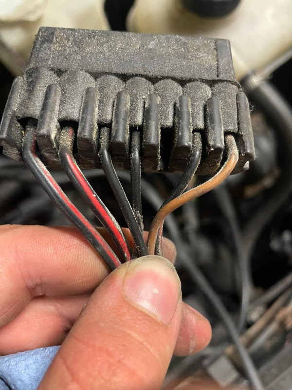 Stecker4.jpg