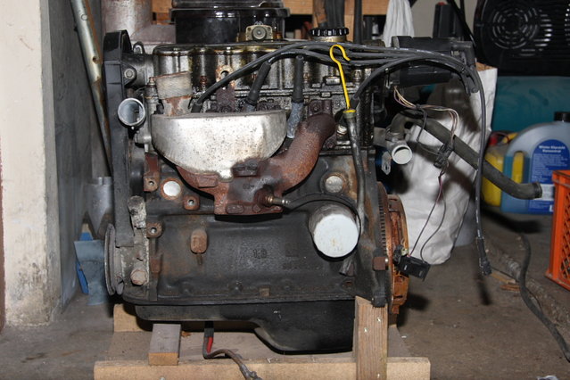 Cors281.JPG (458.01 KiB) 27276 mal betrachtet So sah der Kleine noch heute morgen aus.