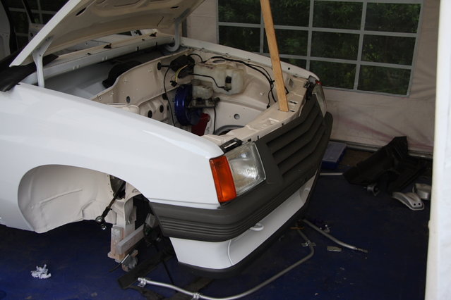 cors397.JPG (349.04 KiB) 55531 mal betrachtet Das Gesicht nimmt langsam Form an